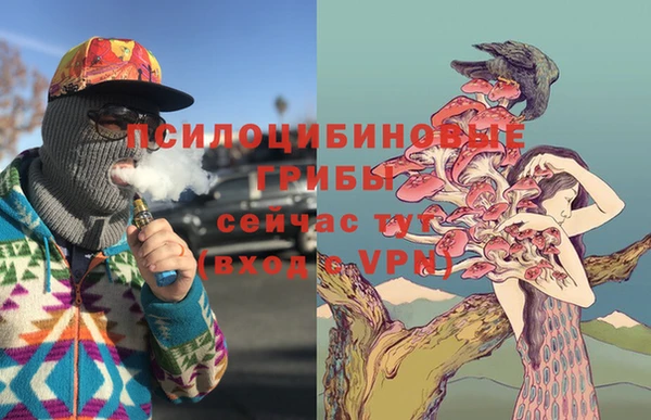 соль ск Алексеевка