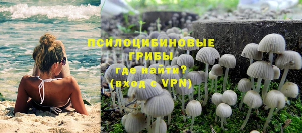 хмурый Алзамай