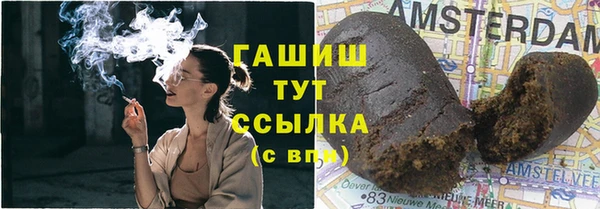 хмурый Алзамай