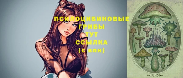 хмурый Алзамай