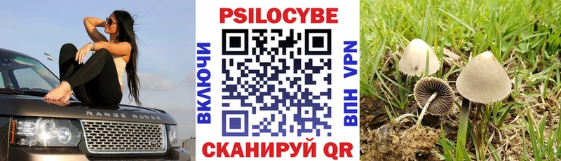 Галлюциногенные грибы Cubensis  Волжский 